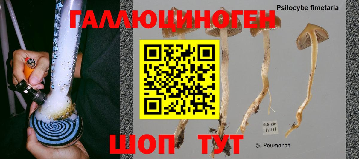 Нижнекамск  Псилоцибиновые грибы MAGIC MUSHROOMS  Вход с VPN 