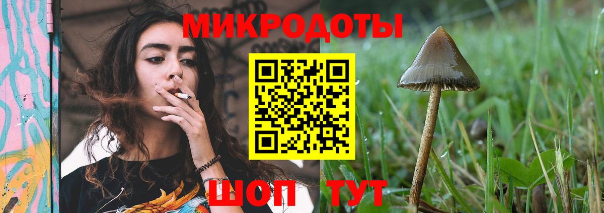 Псилоцибиновые грибы мухоморы Нижнекамск