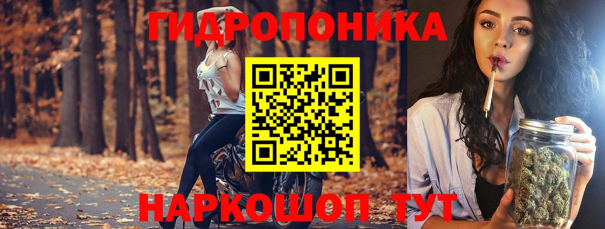 Шишки марихуана сатива  Марихуана Bruce Banner  Нижнекамск  Вход с VPN  Бошки марихуана планчик  Шишки марихуана ГИДРОПОН 